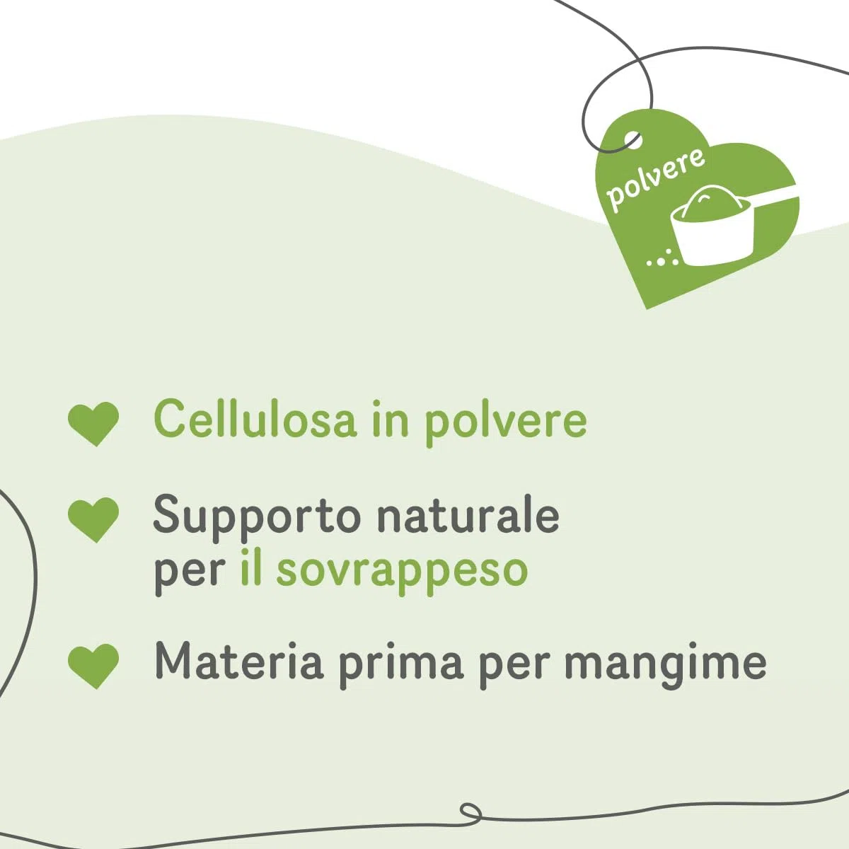 GRAU – Weight Care, confezione da 1 (1 × 600 g), alimento complementare per cani e gatti
