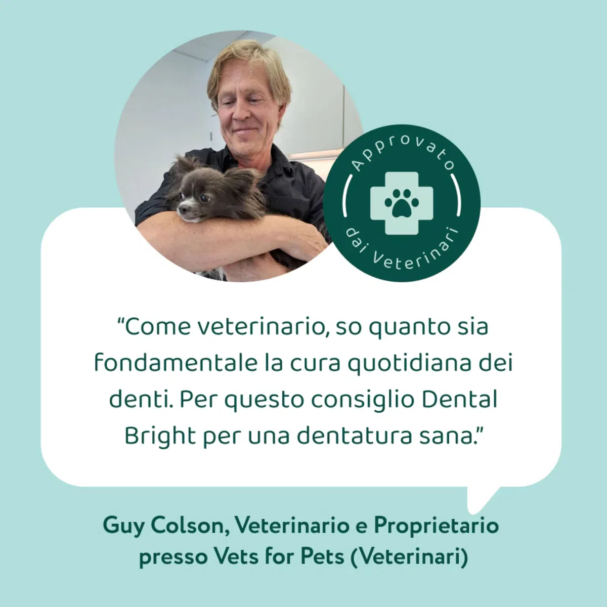 DogSuppy Dental Bright per Cani - Alito Fresco, Denti Bianchi, Riduce Placca e Tartaro, 100% Naturale, Formula 3-in-1, Senza Spazzolatura, Adatto a Tutte Le Razze
