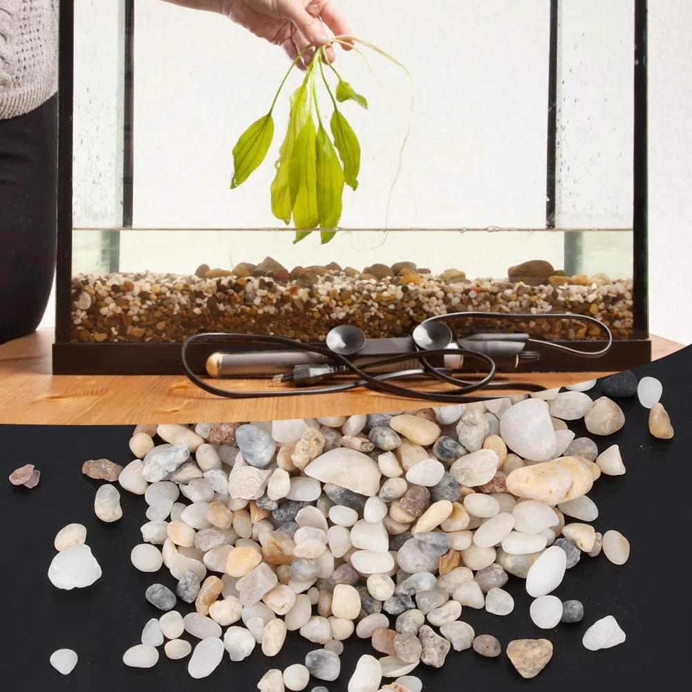 Jenngaoo Sabbia per Acquario, Pietra di Sabbia Naturale Ghiaia Decorazione Paesaggistica Serbatoio per Tartarughe Sabbia di Fondo per Acquario Vaso di Fiori Accessori per Riempitivi di Acqua Dolce