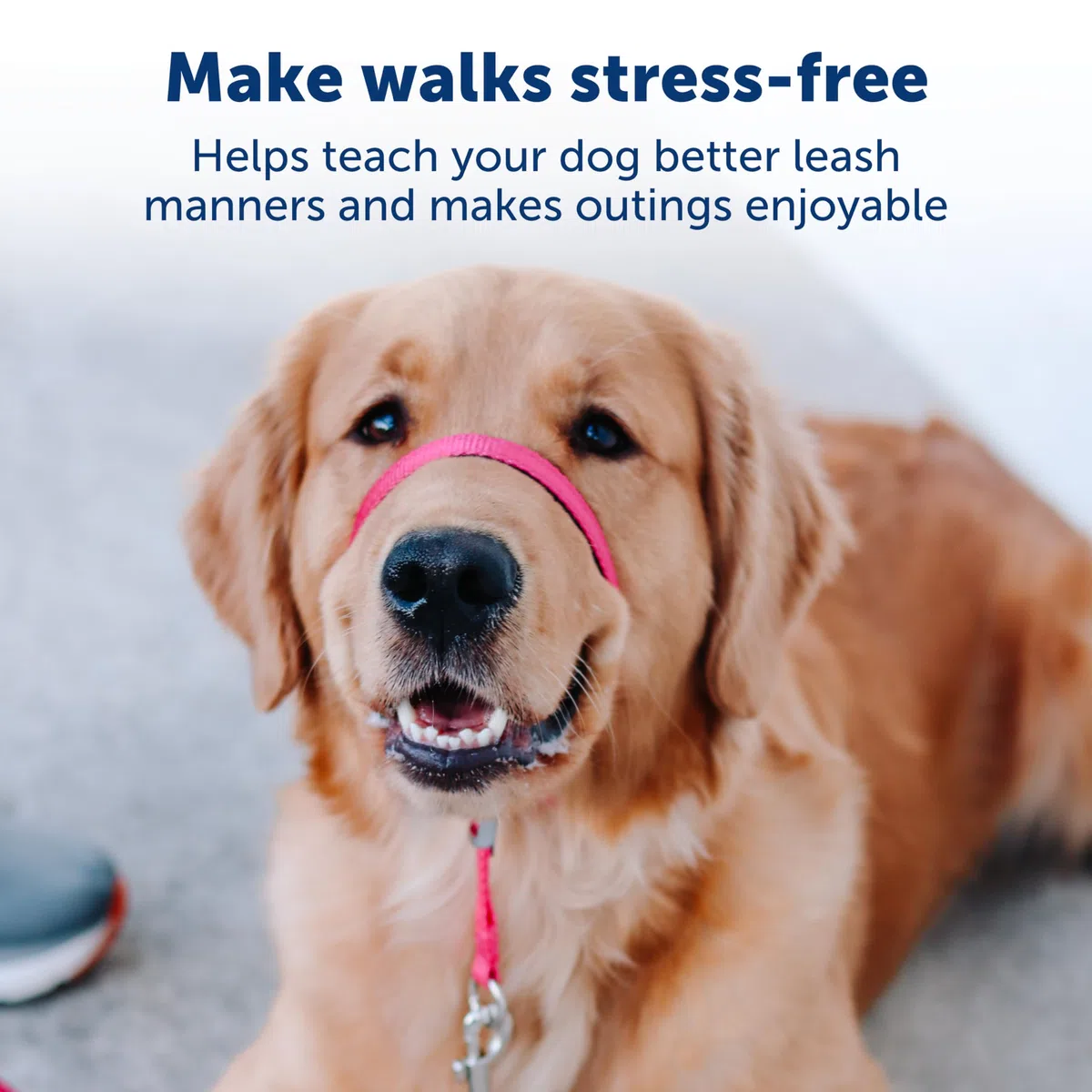 PetSafe - pettorina Easy Walk