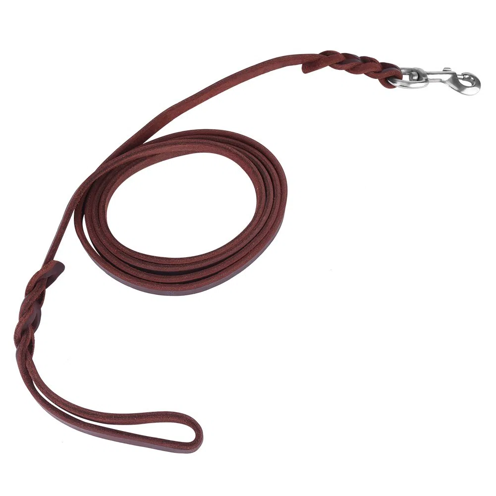 Guinzaglio Cane Per Correre a Mani Libere Per Animali Domestici Ploopy Guinzaglio Per Cani Con Elastico Da Jogging Running Dog Leash Guinzaglio Per Cani Senza Mani (1.6M)
