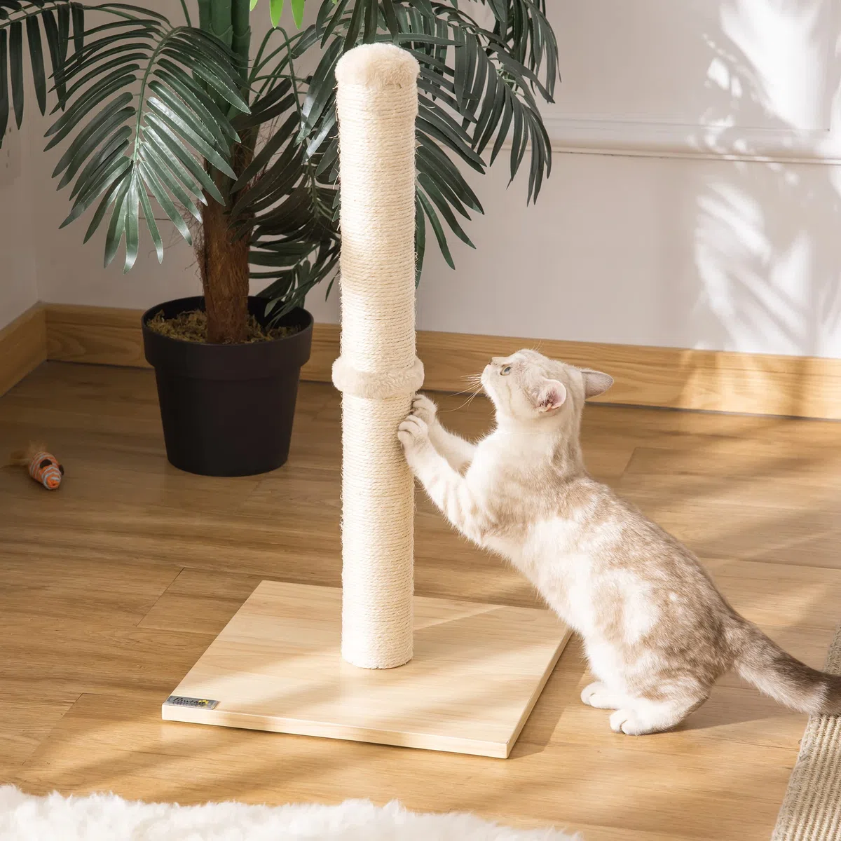 PawHut Tiragraffi per Gatti con Palo in Sisal Alto 60 cm, Mini Albero Tiragraffi Salvaspazio Multiuso con Base in Truciolato, Beige