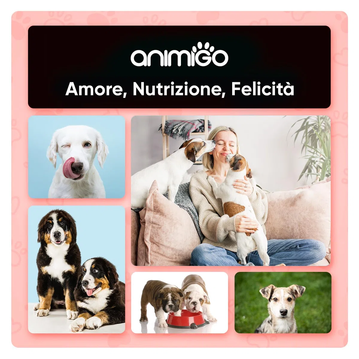 Antiparassitario per Gatti Cani 500ml, Spray Antipulci per Cani e Gatti Ricco di Oli Naturali, Antiparassitario Cane e Gatto Contro Pulci, Zecche, Pidocchi, Zanzare, Antipulci Cane e Antipulci Gatto