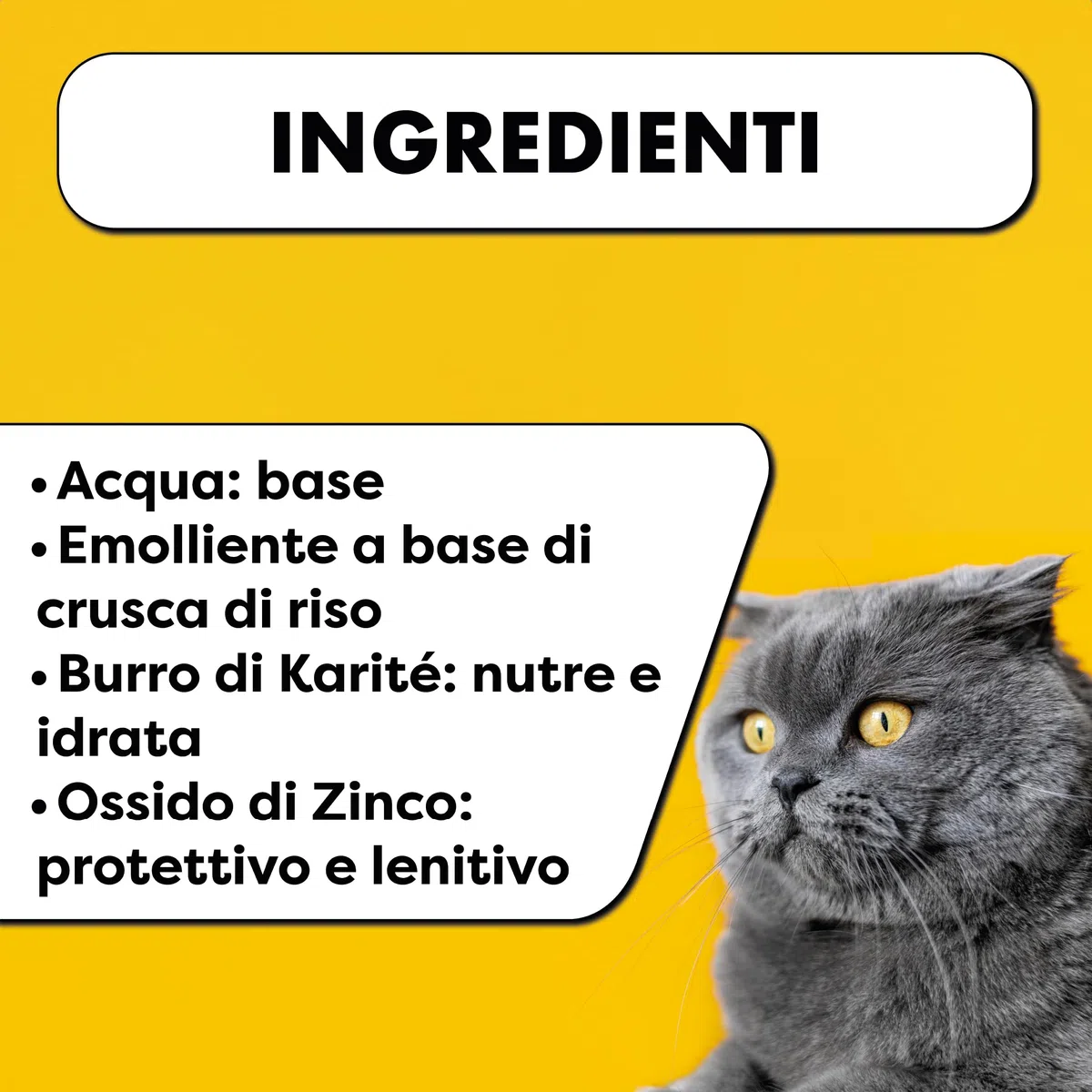 PHARMACINQUEPET Crema Prurito Cane e Arrossamenti – Crema Lenitiva per Pelle Sensibile e Cute Irritata – Idrata e Protegge – 50 ml Balmprocare