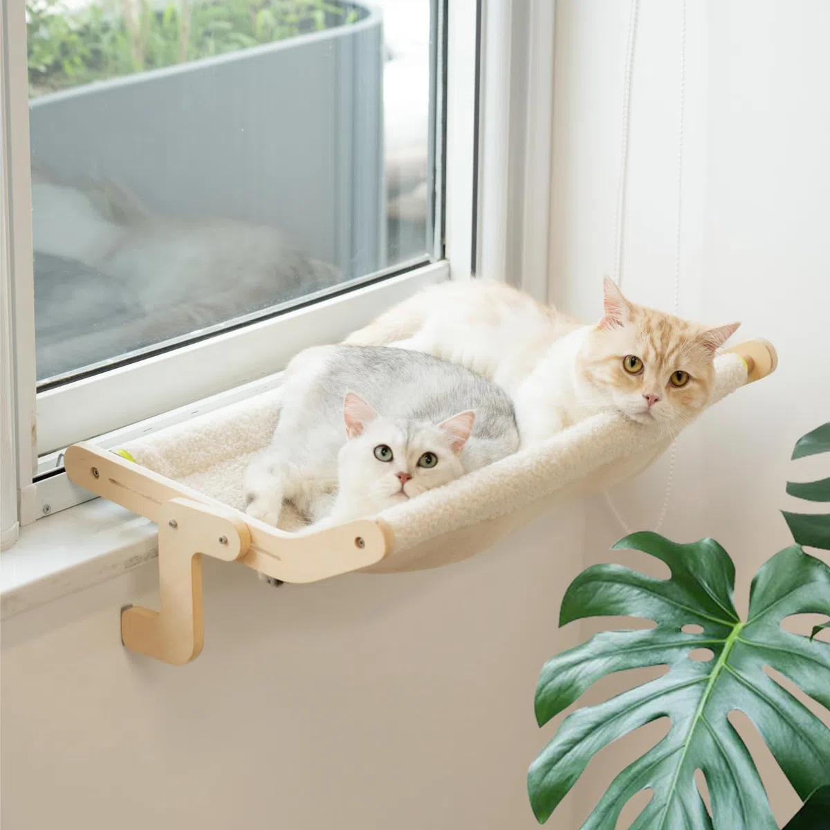 MEWOOFUN - Amaca per gatti da posizionare sulle finestre, design salvaspazio, portata fino a 18 kg (55,2 x 39,5 x 21,5 cm, grande, beige)