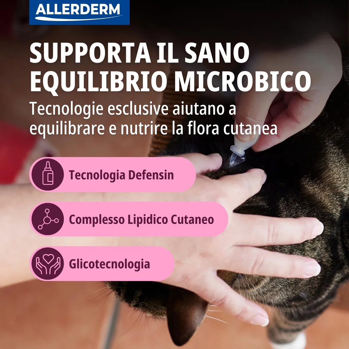 ALLERDERM Spot On (verde ¶ÃŸe : 6x 4 ml), un articolo