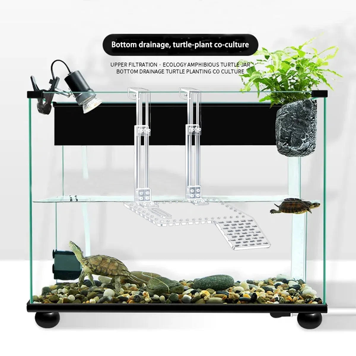 Piattaforma per Crogiolarsi per Tartarughe in Acrilico, Super Trasmissione della Luce, Habitat Con Ripiano da Arrampicata, Accessori (XL)