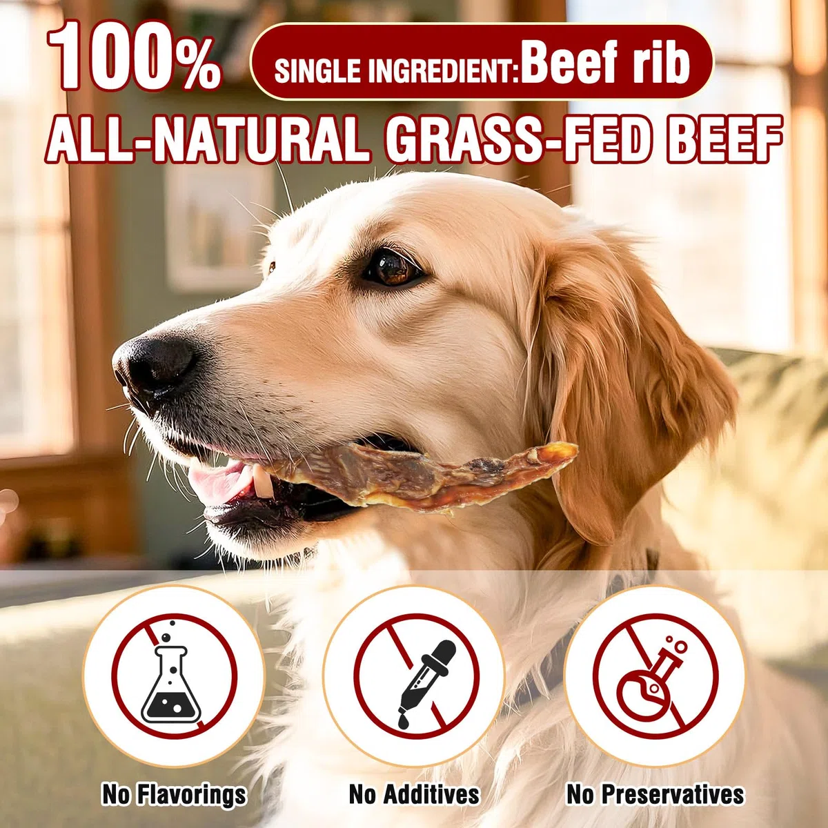 Carne di manzo costola ossa Cane tratta,100% naturale costola ossa mastica manzo da erba mangiato bovino,Lunga durata cane masticare ossa per masticatori aggressivi,150G (150G)