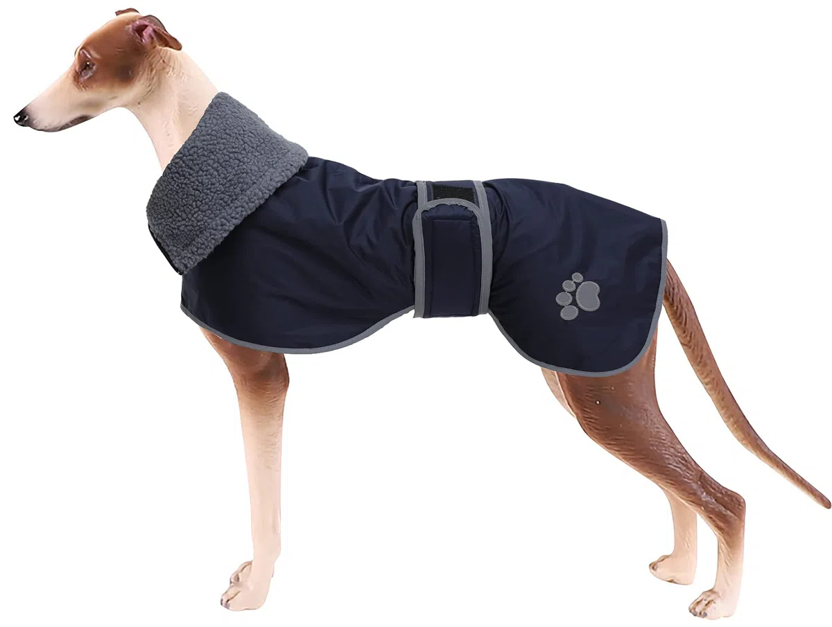 Geyecete Cappotto Cane Impermeabili per Levrieri, Pile Caldo Gacca per Whippet, Lurcher Pullover con Fasce Regolabili, Impermeabile per Sighthound di Media e Grande Taglia - Blu Navy - XXL