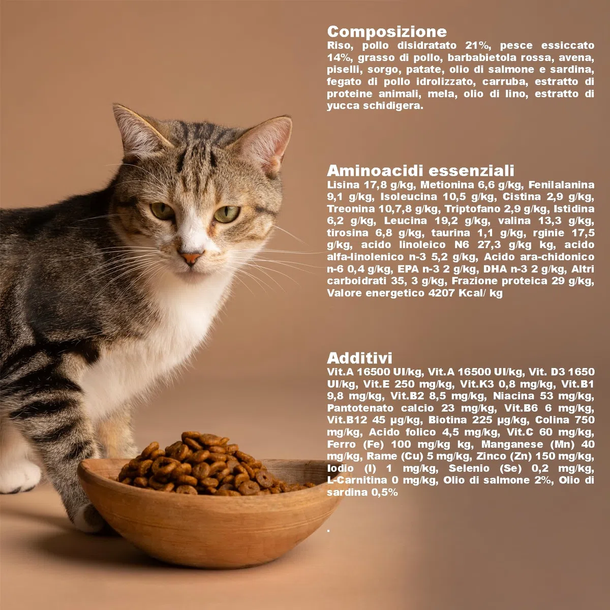 GREENHEART-PREMIUMS | Crocchette per gatti anziani | SENIOR CON PESCE E RISO | Senza Glutine | Prodotto Premium | 100% Ingredienti Naturali | Senza Coloranti Aromi e Antiossidanti Chimici (1,5 kg)