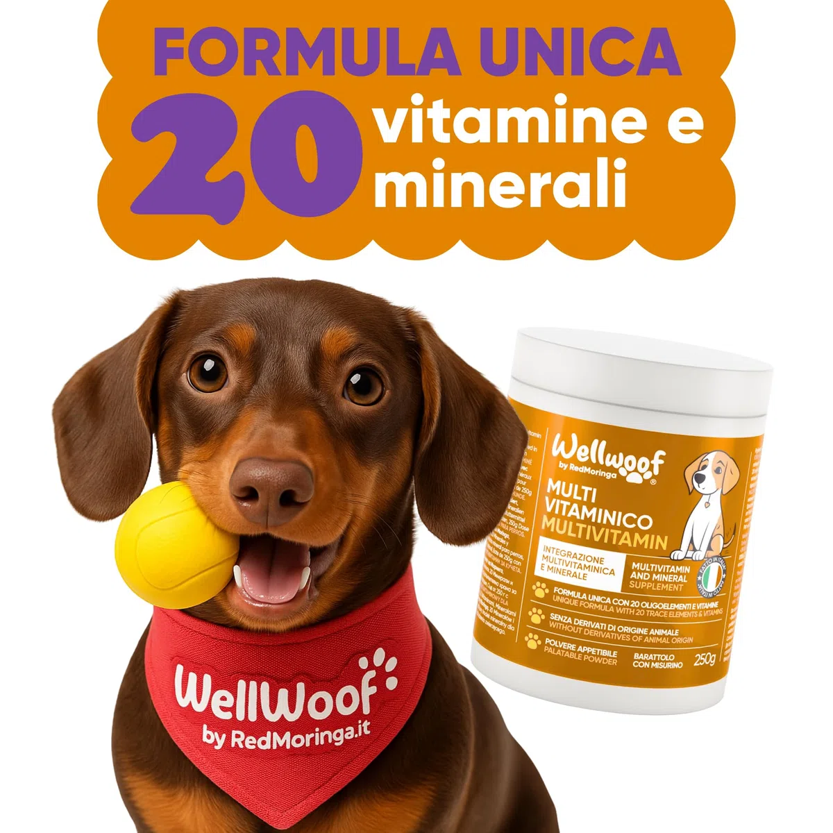 Integratore Multivitaminico Completo 11 in 1 | Integratore per Cani in Polvere (250g) | 20 Vitamine e Minerali e Moringa BIO | Senza Appetizzanti Animali | Dieta Casalinga | Made in Italy - WELLWOOF
