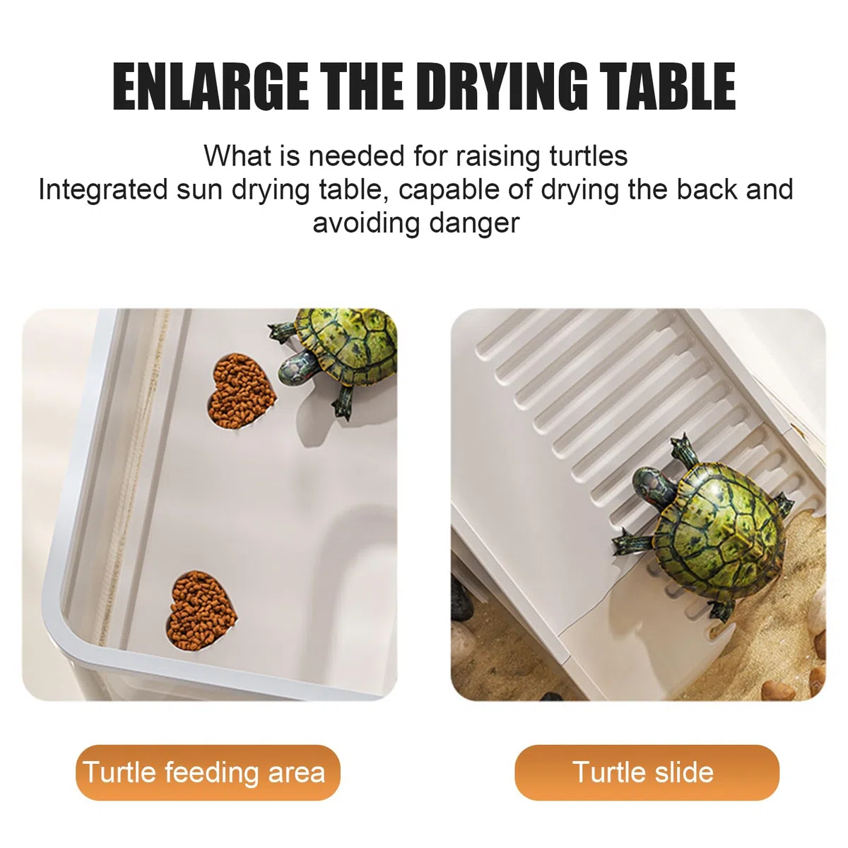Vasca Tartarughe - Contenitore Per Alimentazione Tartarughiera 360° Trasparente - Acquario Per Tartarughiera Per Scuole Casa Rifugi Animali Educatori Natura Per Tartarughe D’acqua