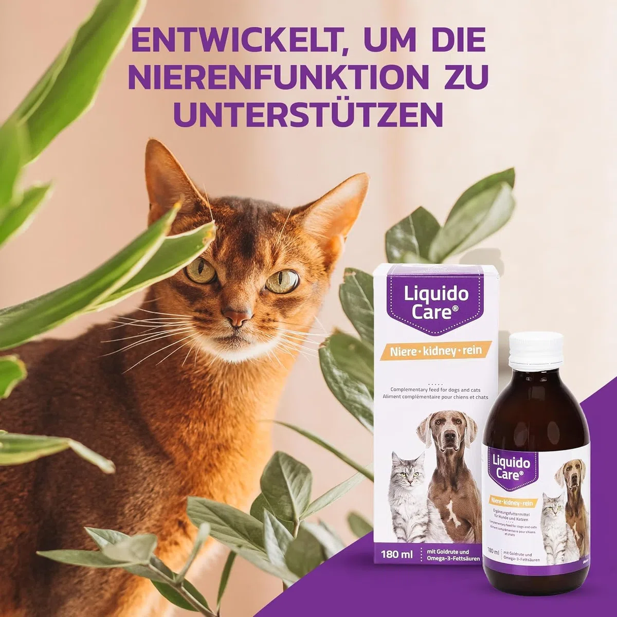 LiquidoCare Renal (180 ml) – Mangime complementare per cani e gatti – con verga d’oro, selenio, vitamine e acidi grassi omega – integrazione nutrizionale liquida