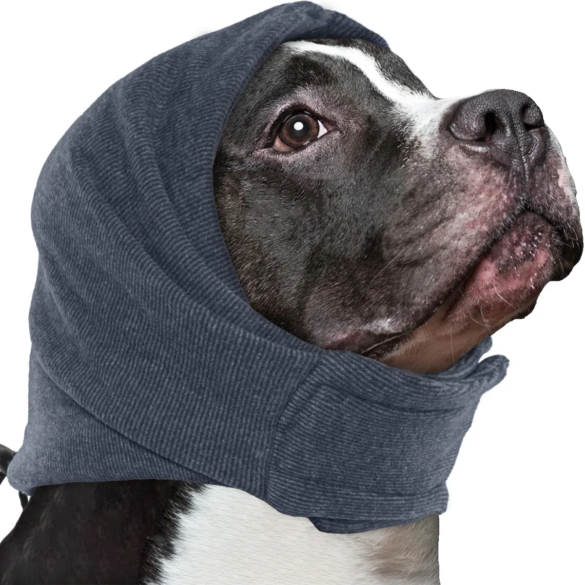 IECOii Copertura per orecchie di cane per sollievo dall'ansia, cappuccio calmante per cani regolabile per toelettatura, bagno, asciugatura, senza scuotere la testa del pet per ematoma, fuochi