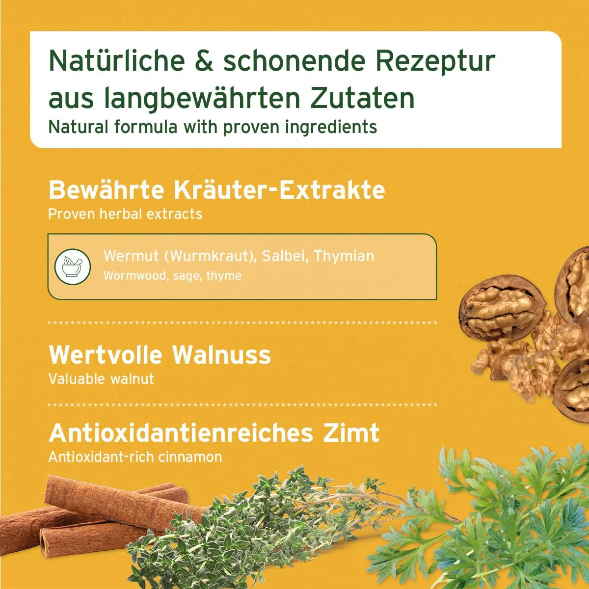 AniForte Verme Erba W-Liquid Gocce Liquido – alternativa naturale per cani, gatti, animali domestici, supporta e armonizza lo stomaco dopo infestazioni da vermi, prodotto in Germania, 50 ml