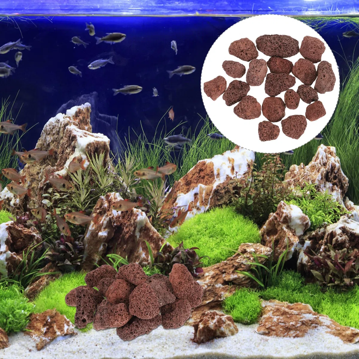iplusmile Rocce Vulcaniche per Acquario 6X6X6 Cm Materiale Filtrante Naturale per Acqua E Marina Pietre Laviche per Filtro E Decorazione Subacquea per Serbatoio di Pesce