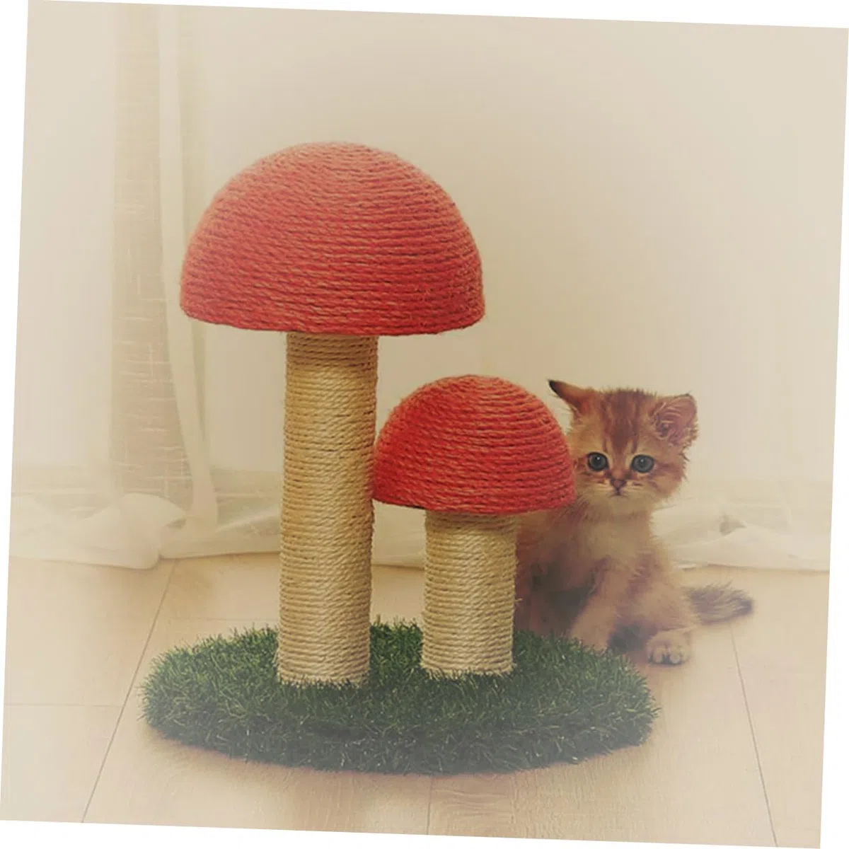 Abaodam Colonna di Arrampicata per Gatti Tiragraffi Corda, Ricambio in Legno Resistente Ø 6cm X 40cm, Accessorio per Struttura Fai da Te, Adatta a Gattini e Gatti per Giochi Sicuri