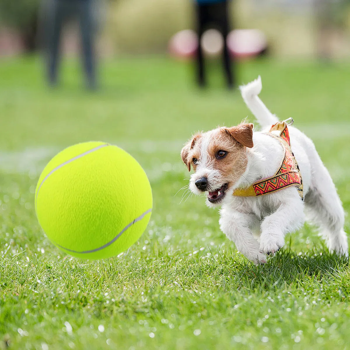 UEETEK Il Cane del Diametro 24CM mastica Il Pallone da Tennis Gigante della Sfera dell'animale Domestico per Il Grande Animale Domestico Che Gioca l'esercitazione