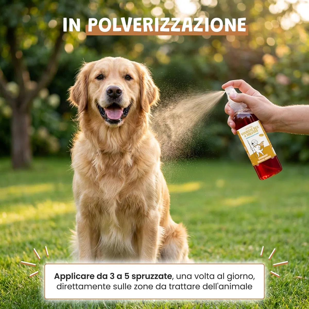 Museau & Co Aceto dei 4 Ladri Spray 250ml per Cani e Gatti | Antiparassitario Naturale Pulci & Zecche | Antibatterico, Antifungino & Repellente Insetti | Senza Pesticidi