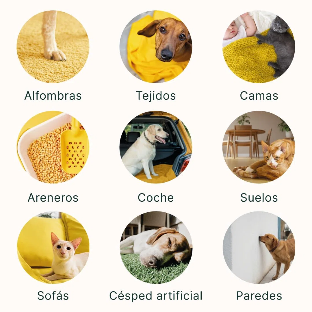 Stop Odori - Neutralizzatore di odori generati dagli animali domestici. Tessuti, letti, divano, auto. Bioenzmatico, vegano, biodegradabile