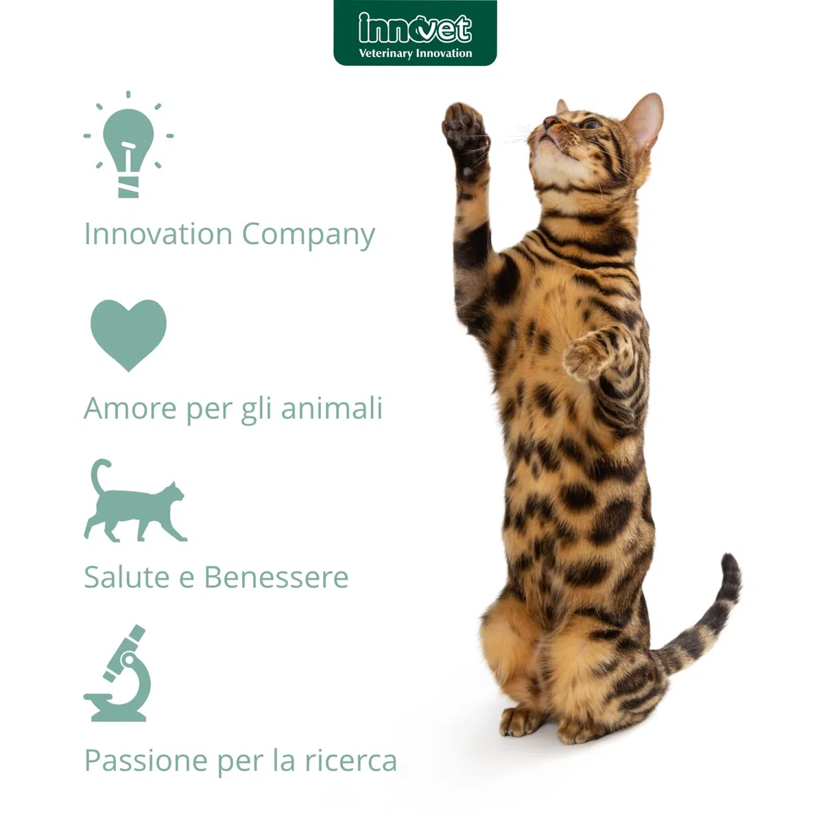 Condostress Condrostress + Cat 30 Capsule Monodose
