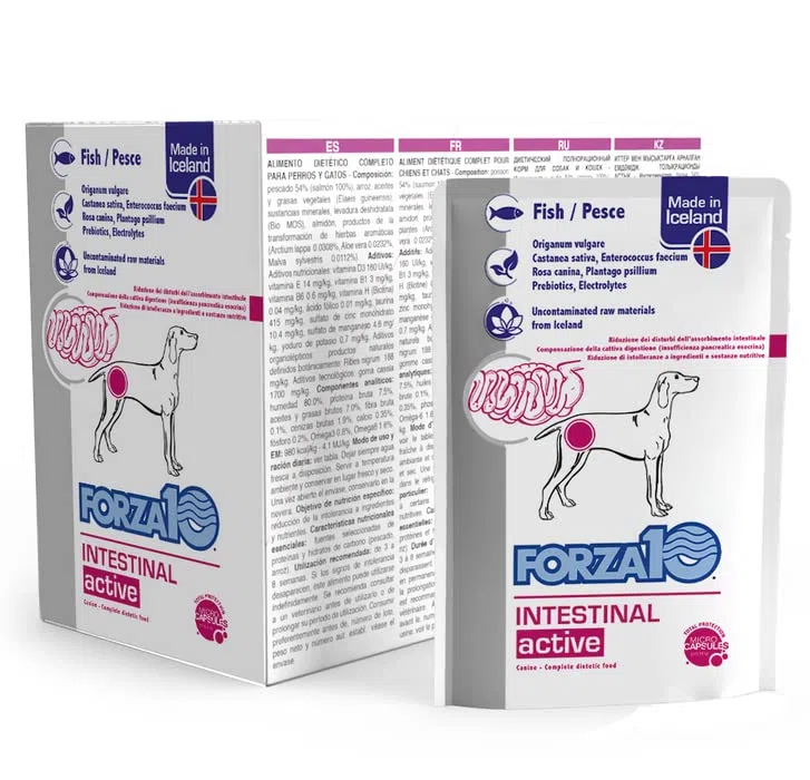 Intestinal Active Per Cane al pesce - 12 Bustine Actiwet da 100 Grammi