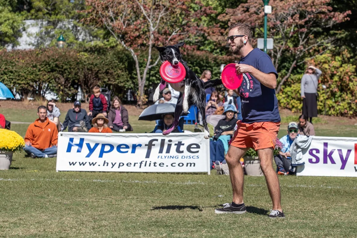 Hyperflite Jawz - Disco da lancio per canini, 22,2 cm, 145 g (Mango)