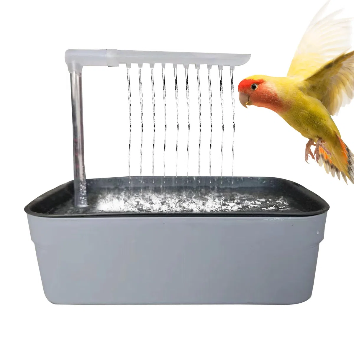per Uccelli - Doccia Automatica per Animali Domestici, Accessorio da Bagno per calopsittes Alimentato da USB, Strumento di igiene per Gabbia compatta | per Piccole e Medie r