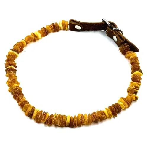 Collare in ambra baltica per cani realizzato con perline di ambra baltica naturale non lucidata (35-40cm)