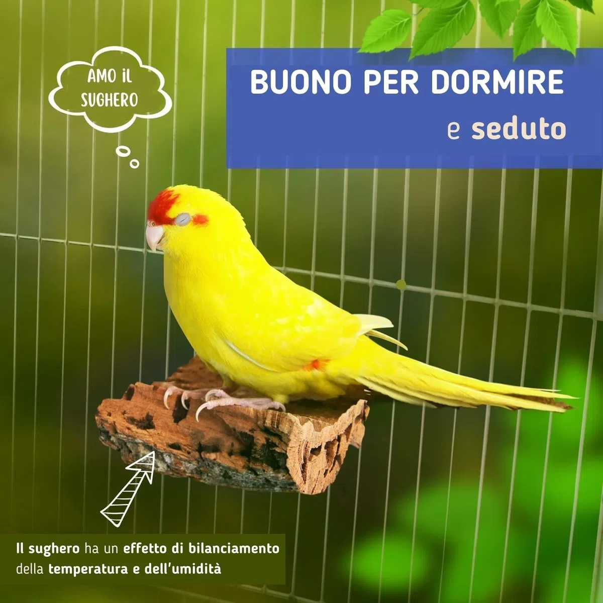 Vogelgaleria 2 pezzi di sughero da beccare per uccelliLa gustosa alternativa alla pietra minerale o all'osso di seppia.
