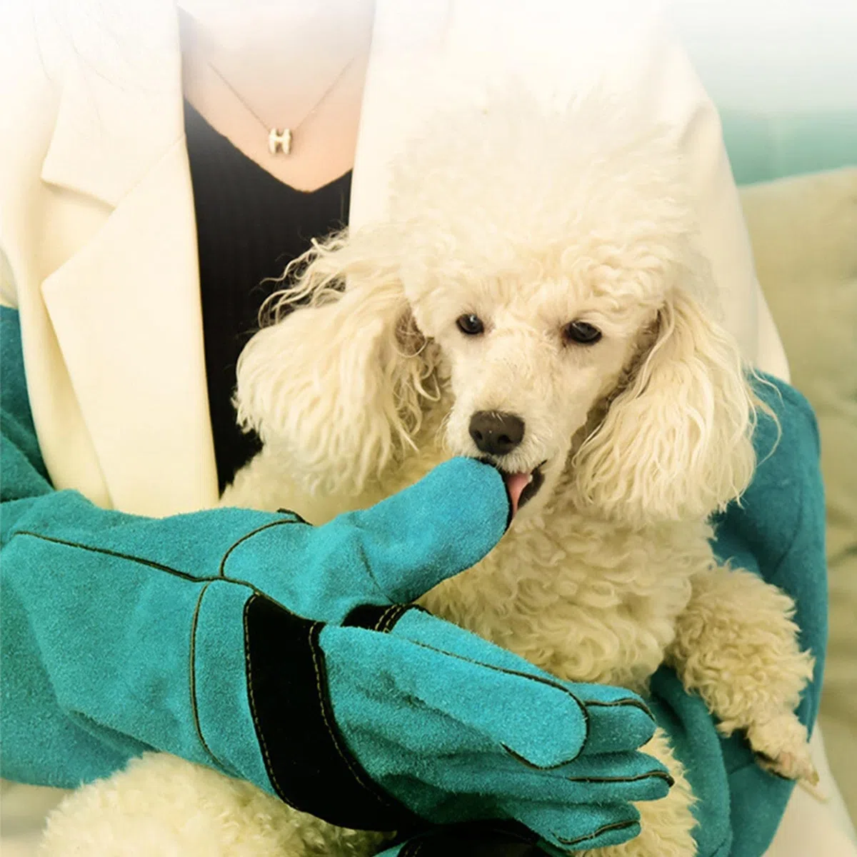 Guanti per la manipolazione degli animali, anti-morso e antigraffio, guanti da addestramento per cani, durevoli e impermeabili per animali domestici, da bagno, da alimentazione, da allenamento