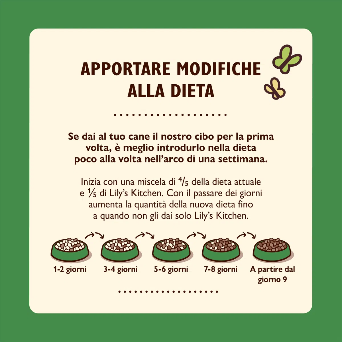 Lily's Kitchen Prodotto con ingredienti naturali Cibo umido per cani Spezzatino di agnello 6 x 400 g