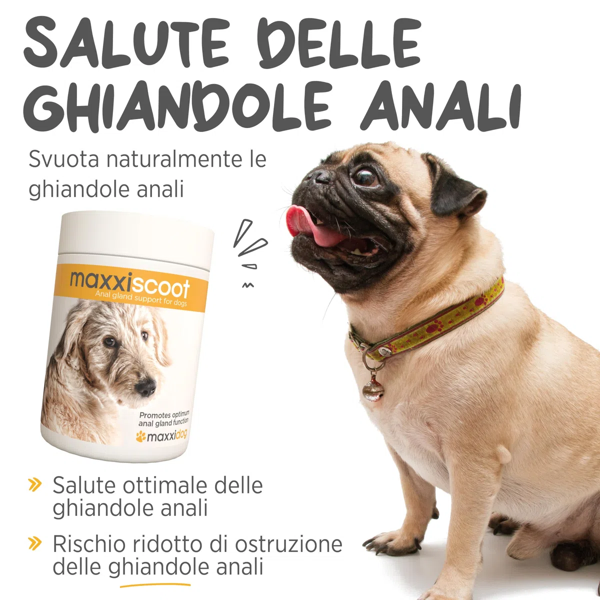 maxxipaws maxxiscoot Ghiandole Perianali e Apparato Digerente - Integratore per Cani, 140g
