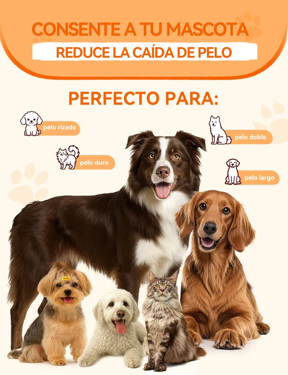 FEELNEEDY Spazzola per Cani, Spazzola a Vapore per Cani, Pettine per Gatti, Vapore a Doppia Faccia, 23+35 Spazzole per Toelettatura e Districatura dei Nodi per Gatto Cane a Pelo Corto e Lungo
