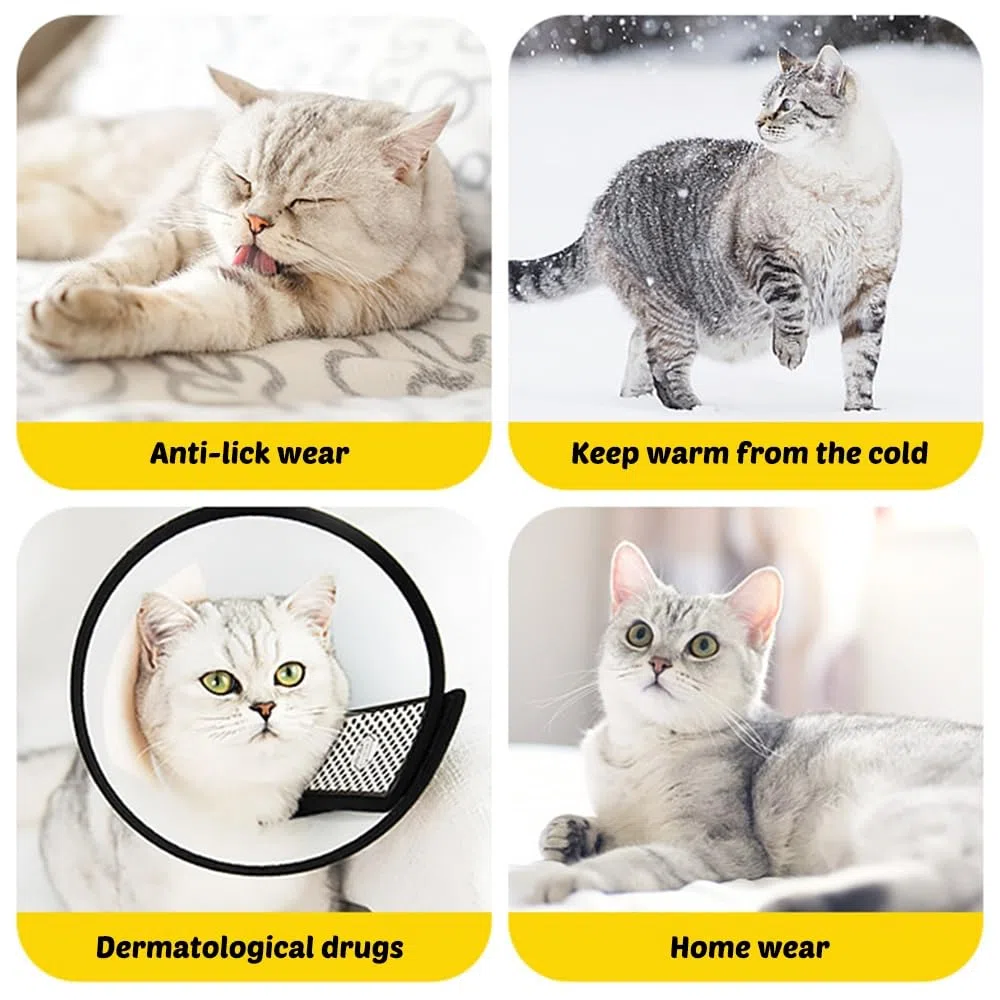 MiOYOOW Collare di protezione per gatto, morbido e regolabile, per gatti, anti-morso, collare per gatti, anti-graffio, comodo per media/grande gatto e cuccioli, blu