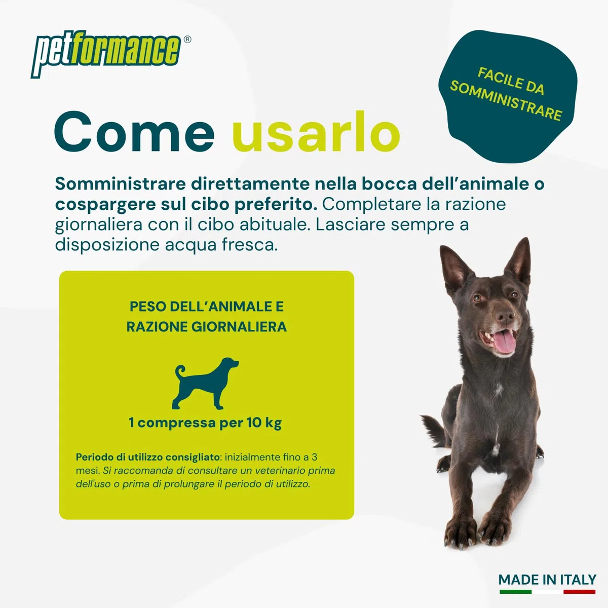 FermaDol Forte - 60 Compresse per le Articolazioni del Cane e del Gatto - con Glucosamina, Condroitina, Artiglio del Diavolo - Contrasta Dolore ed Infiammazione (Pilloliera)