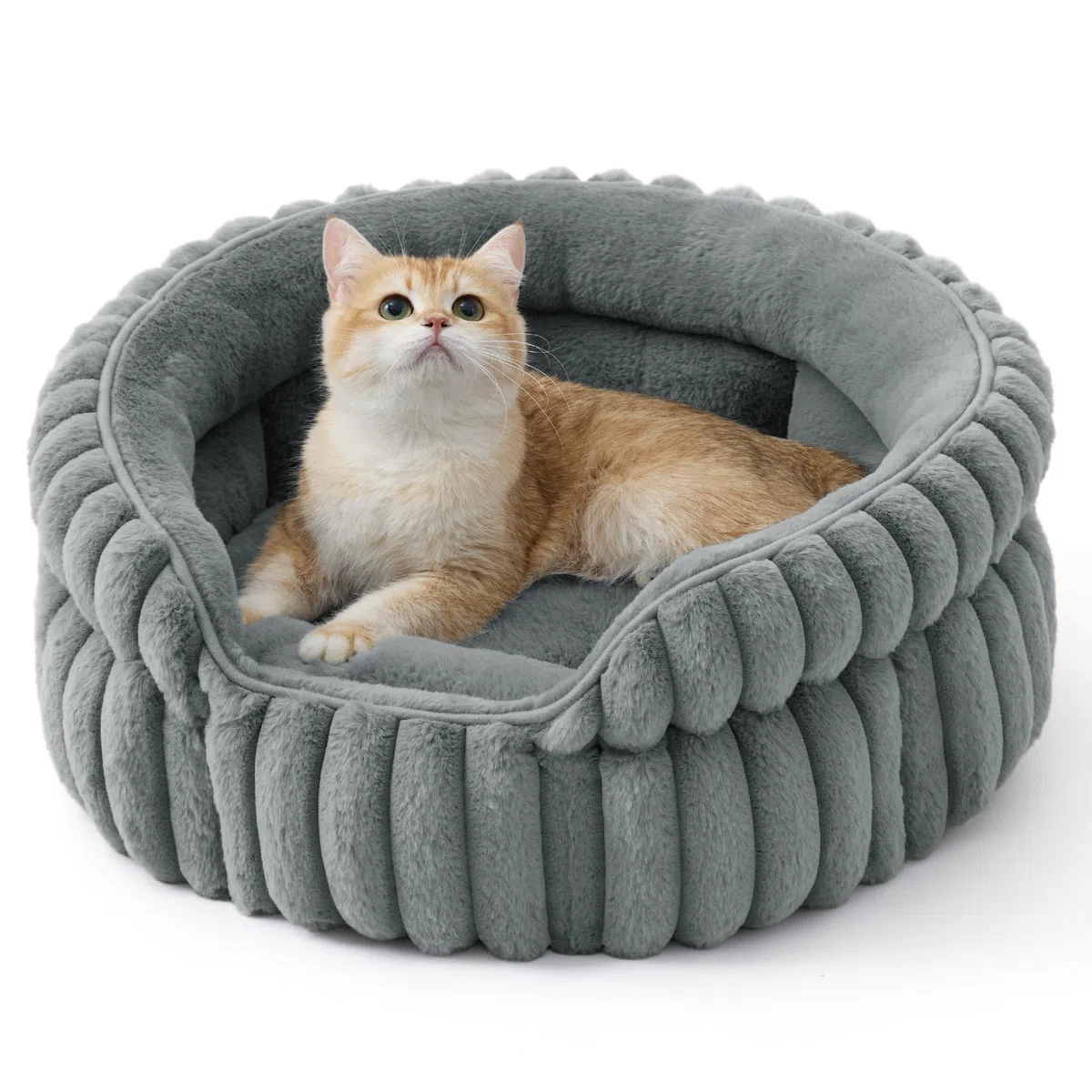 Bedsure Cuccia lavabile per gatti - 51x51 cm, piccola cuccia rotonda per gatti da interno, cestino per cuccioli con fondo antiscivolo e cuscino rimovibile reversibile, grigio