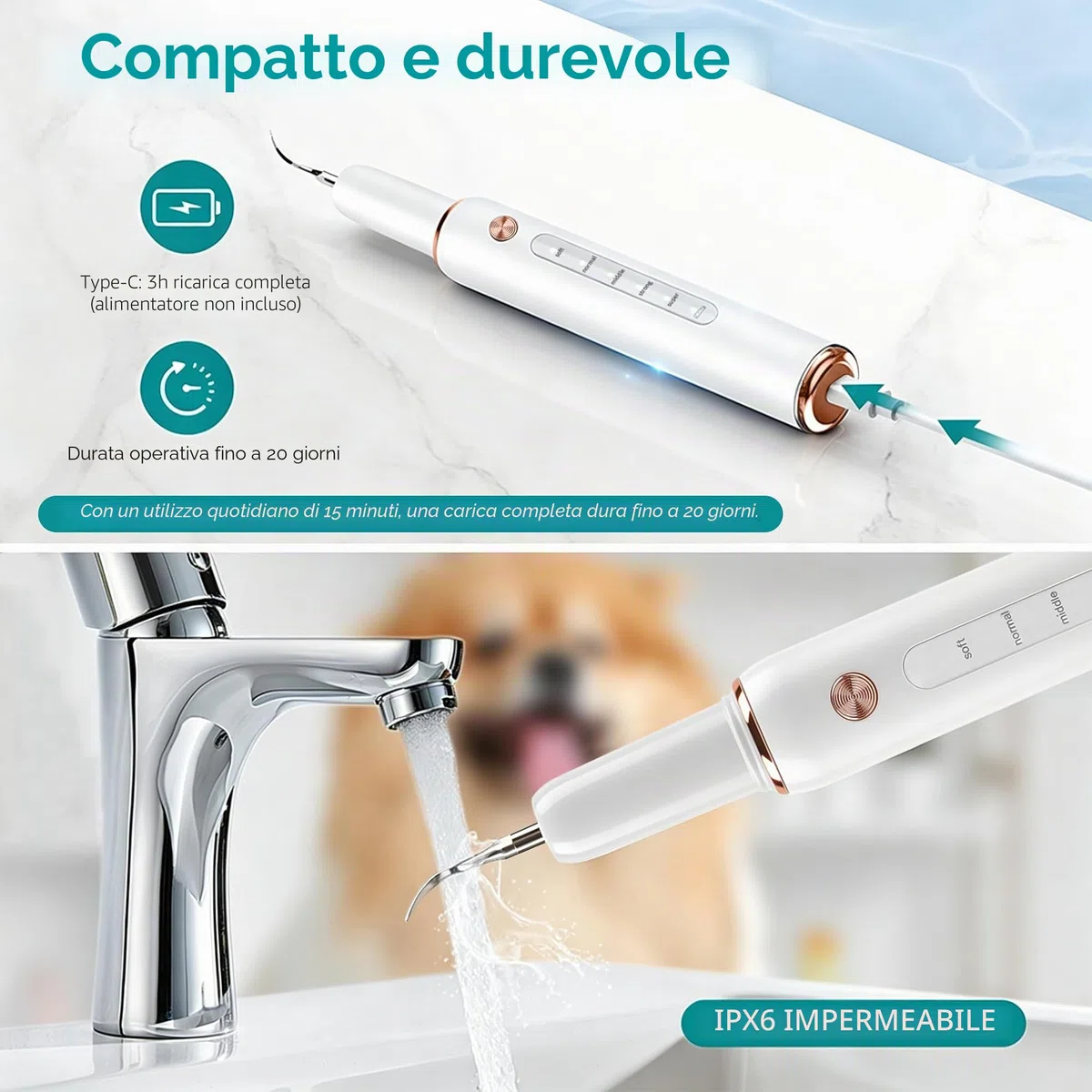 FIVAVA Pulizia Denti Cane, Pulizia Denti Tartaro per Cani e Gatti, Kit Pulizia Denti, 5 Modalità di Pulizia, Rimuove il Tartaro, Ricaricabile (Bianco)