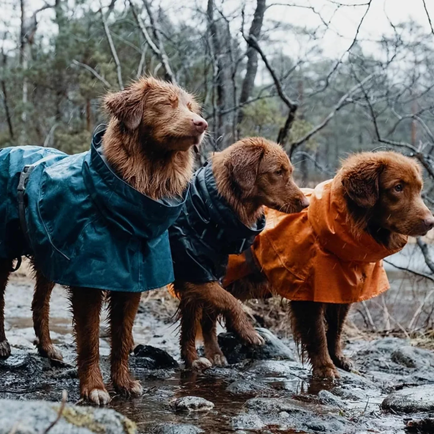 GIACCA VENTO E PIOGGIA MONSOON COAT MORA 30