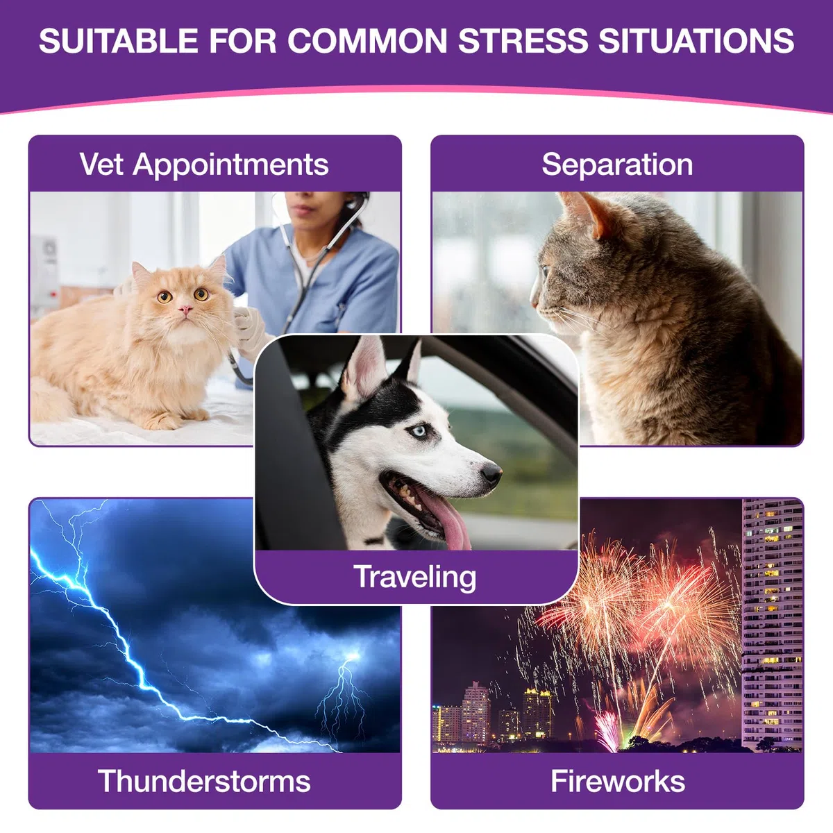 Melatonina Cane Gatto 120 ml, Integratore Liquido per Cani e Gatti, Gocce Anti Stress e Calmanti Naturali, Supporto per Relax e Riposo, Aiuta il Benessere degli Animali, Formula ad Alta Assorbibilità