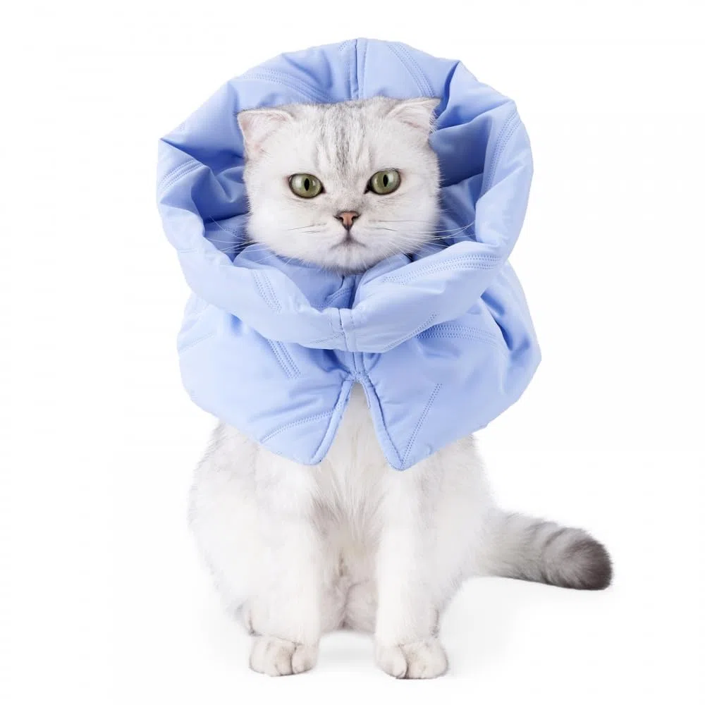 MiOYOOW Collare di protezione per gatto, morbido e regolabile, per gatti, anti-morso, collare per gatti, anti-graffio, comodo per media/grande gatto e cuccioli, blu