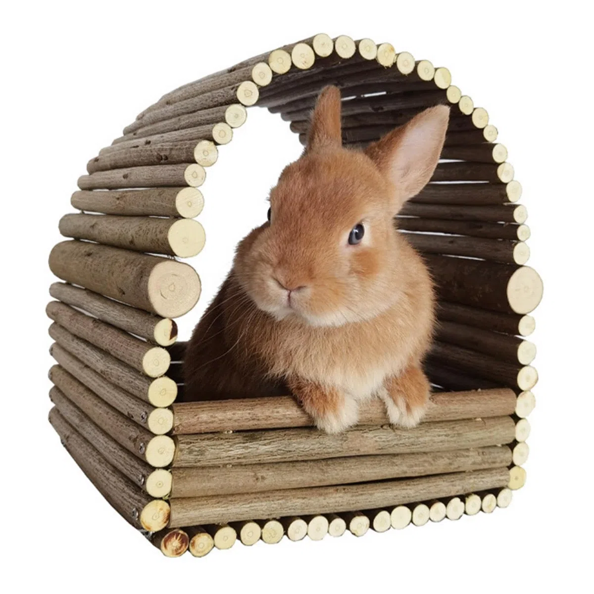 Nascondiglio per conigli in legno - rifugio per roditori in legno, nascondiglio rimovibile per digrignare i denti dei conigli | Casa per il riposo e il gioco degli animali per conigli, cincillà, crice