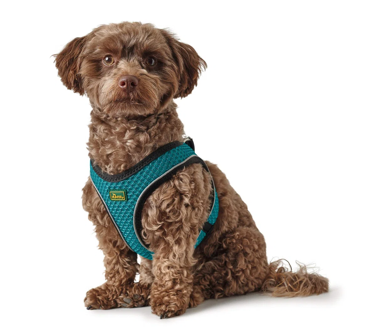 Hunter Pettorina Hilo Comfort Mesh, XS-S, Turchese