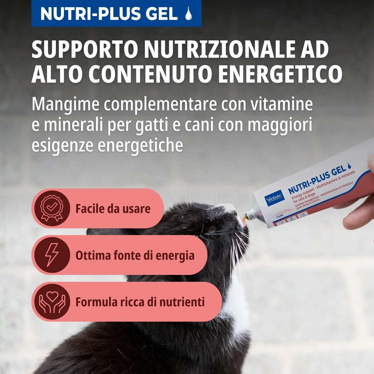 Virbac Nutri-Plus Gel | 120 g | Alimento complementare per cani e gatti per l'integrazione nutrizionale e la convalescenza | Stimolante dell'appetito, vettore energetico altamente concentrato
