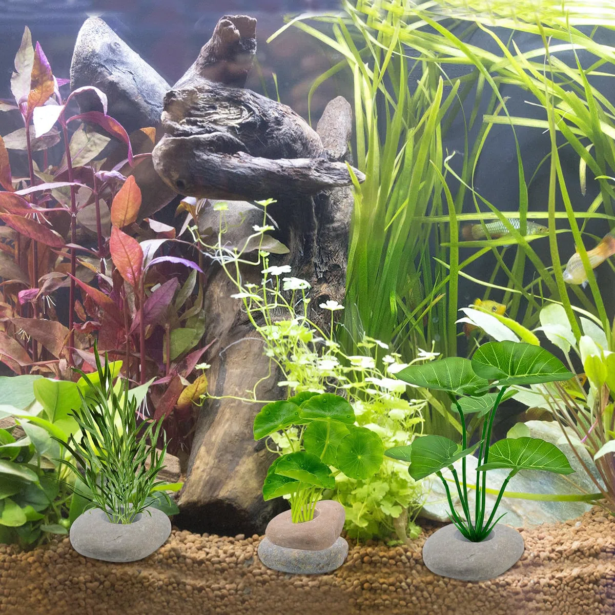 6 pesi per piante d'acquario, ancoraggi in pietra di ciottolo impediscono il nuoto per acquario, piante vive, decorazioni per acquari (diverse forme)