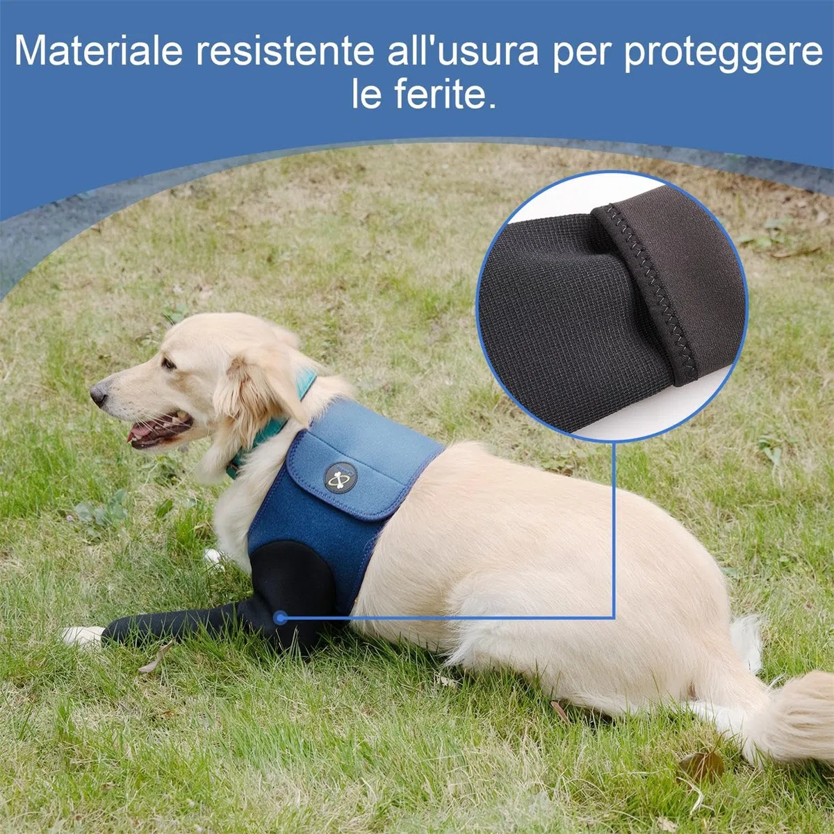 Coodeo Costume di Recupero per Cani, Alternativa al Collare a Cono, Manica Resistente per Solo le Zampette Anteriori, Lavabile e Impermeabile, Previene Leccate e Morsi, Mantiene Asciutto. (Blu, XL)