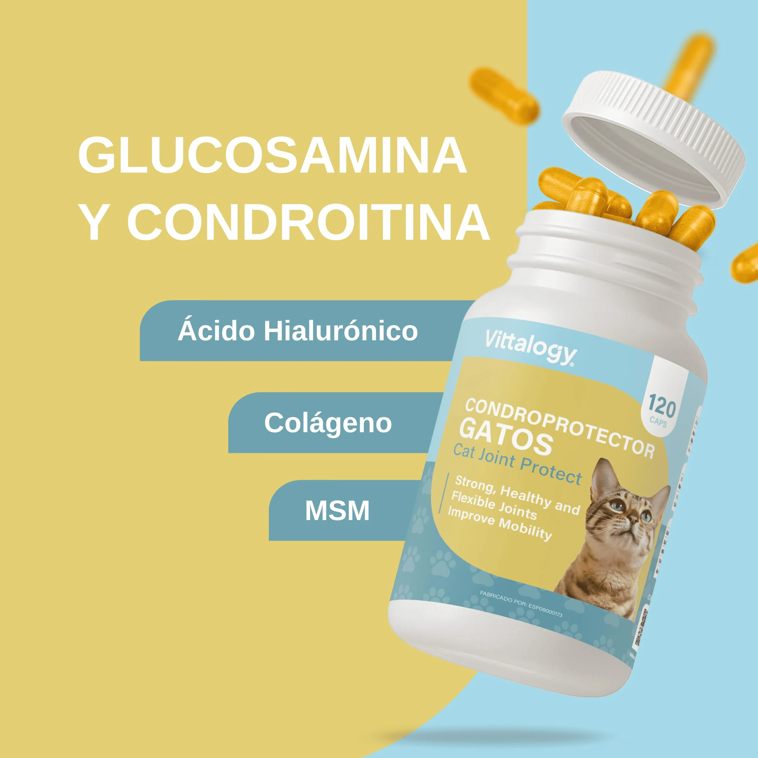 Condroprotettore per gatti. Antinfiammatorio naturale con collagene, condroitina, ialuronico e curcuma. Integratore alimentare per fianchi, articolazioni e cartilagini - 120 capsule