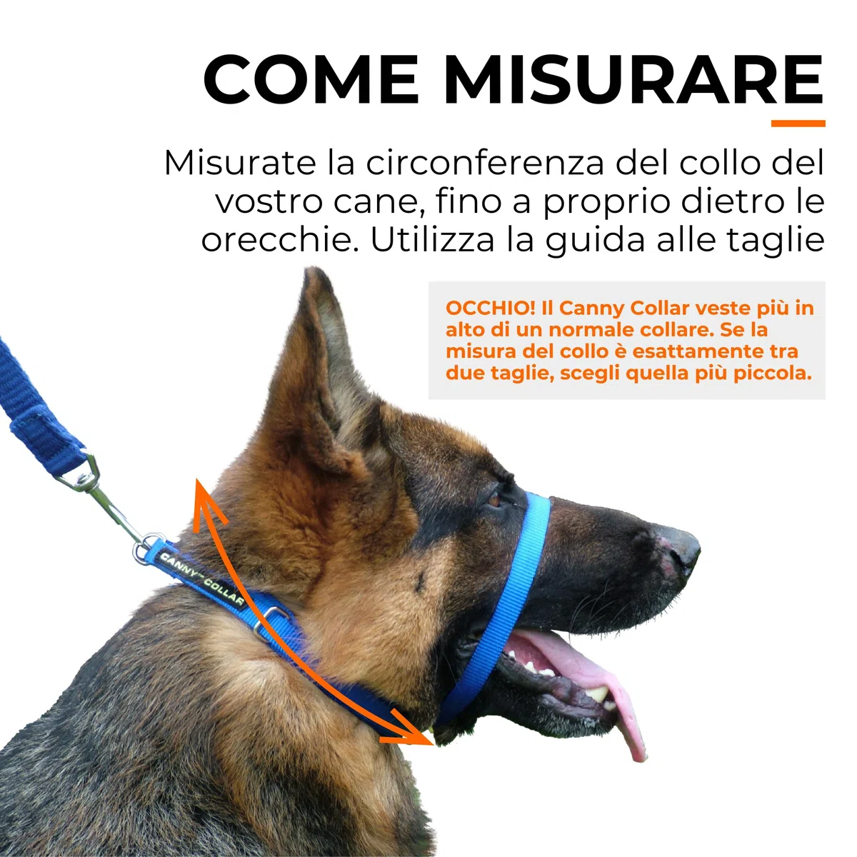 Canny Collar – Collare a Cavezza Addestramento Cane | Collare Anti‑Tiro Gentile e Sicuro | Camminate Piacevoli Senza Stress – Nero, Taglia 4