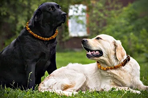 Collare in ambra baltica per cani realizzato con perline di ambra baltica naturale non lucidata (35-40cm)