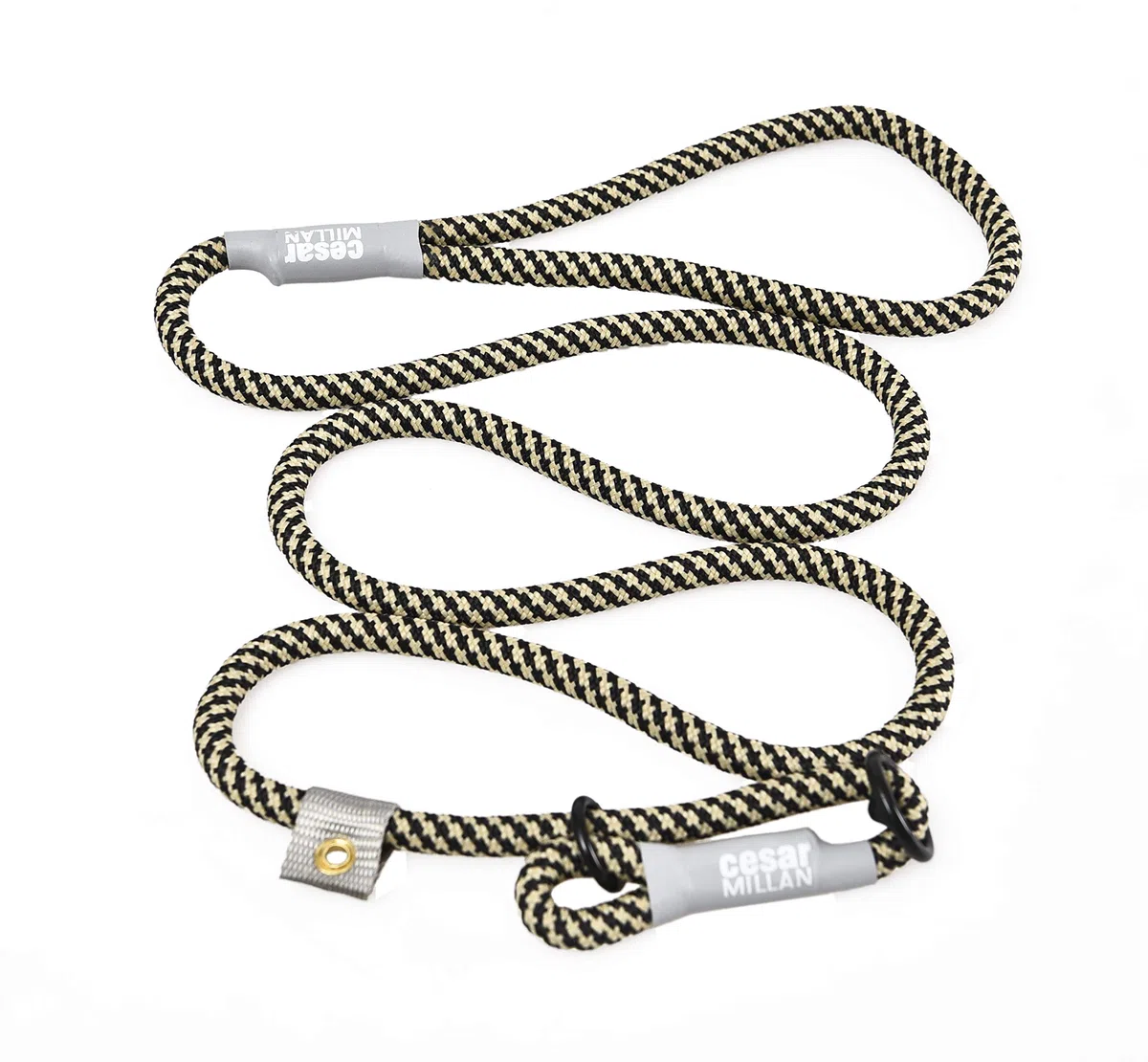 Cesar Millan Nylon Training Lead, Guinzagli per addestramento Cani, Nero/Tan (Medio/Piccolo)
